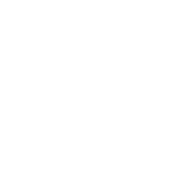 Piast