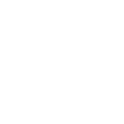 Wisła