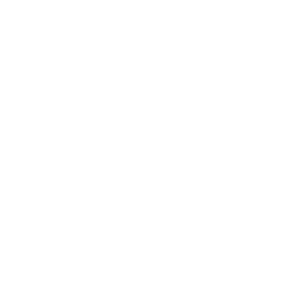 Pogoń