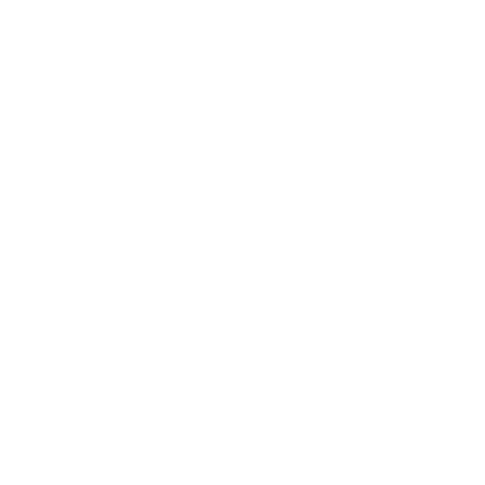 Widzew Łódź